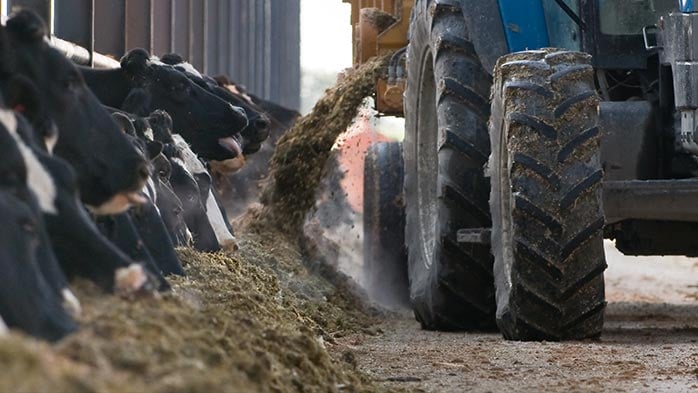 Will high-cost animal feed phosphate producers survive the cull