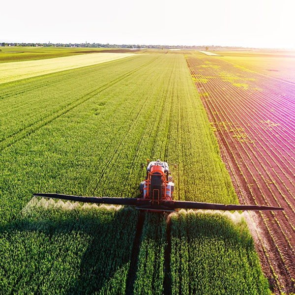 Strategic Insight into the Fertilizer Market
