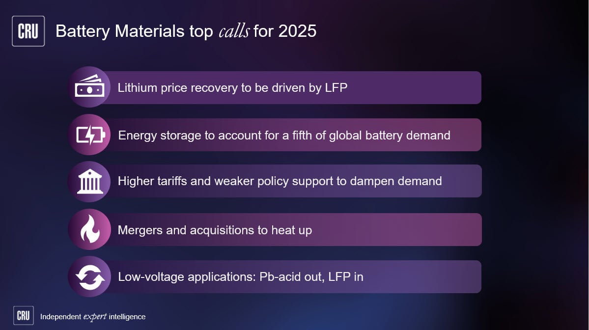 Battery Materials top calls for 2025