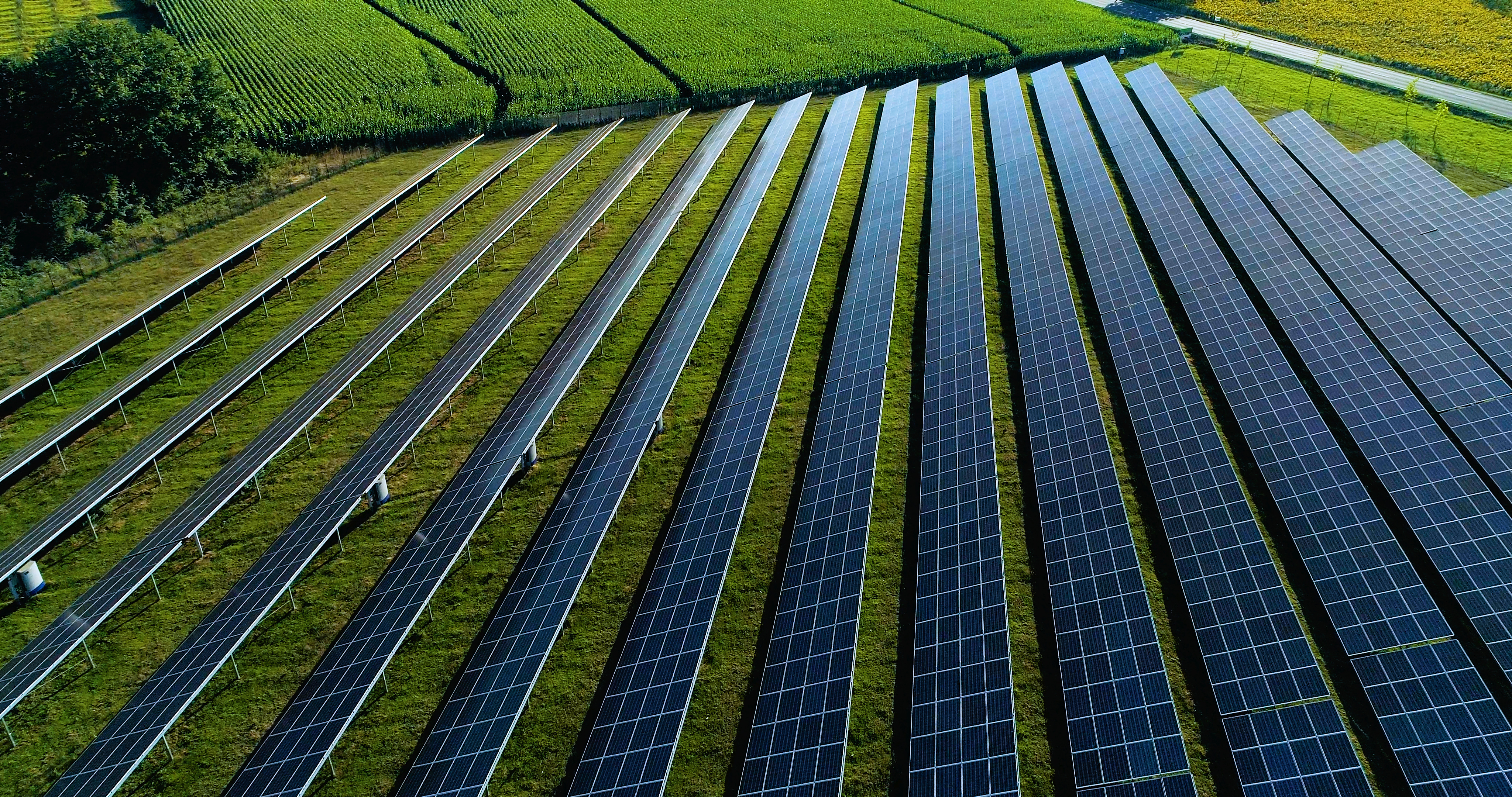 Image of solar panels in field