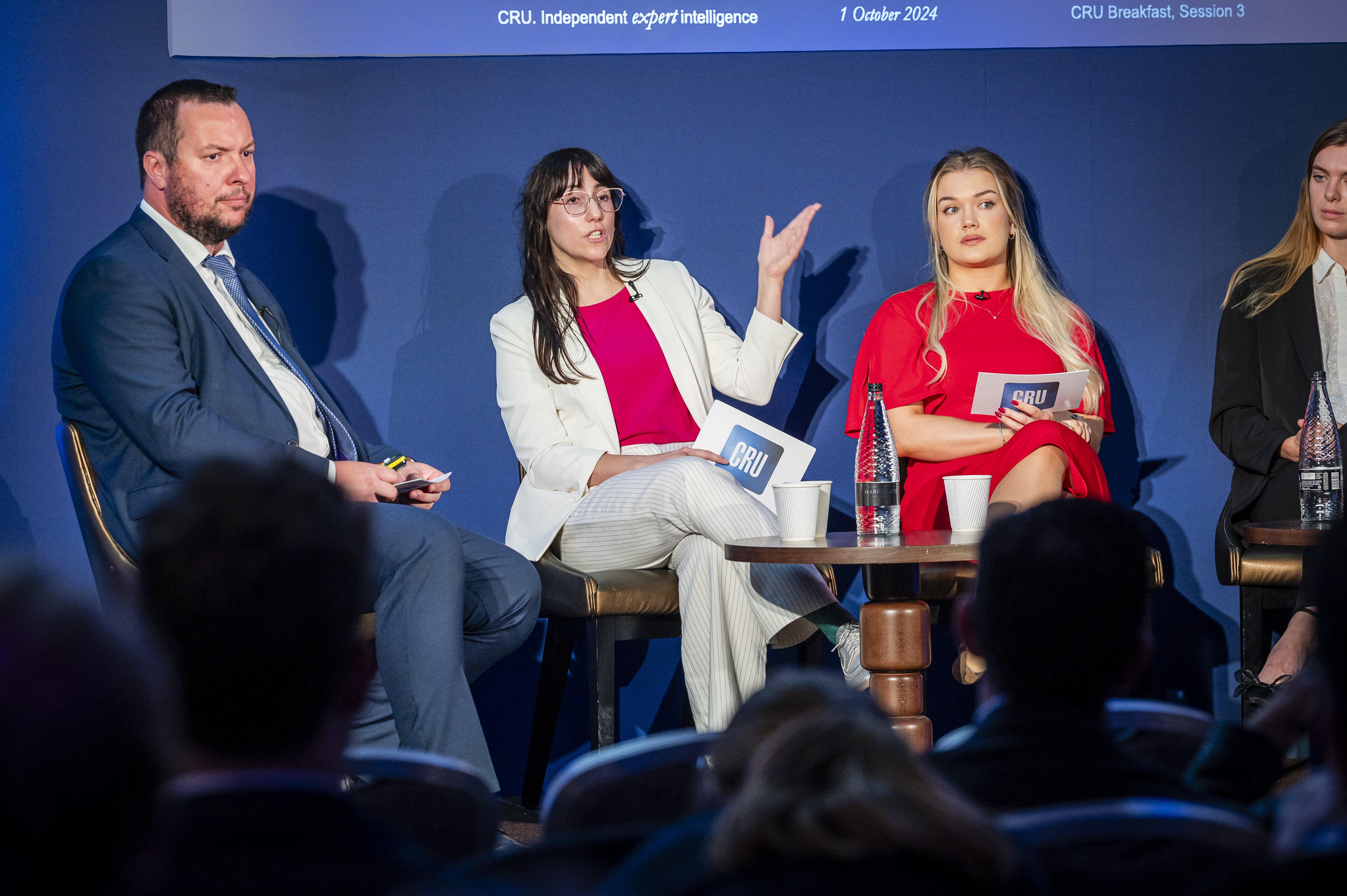 CRU Breakfast 2024 - The Challenge and Cost of Standing Out in Pursuit of Decarbonisation