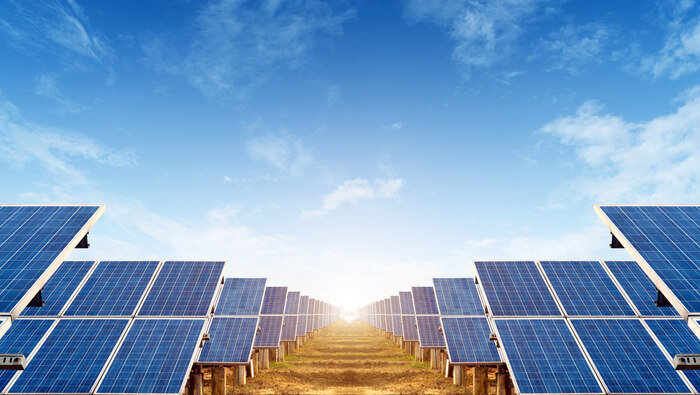 Rows of solar panels